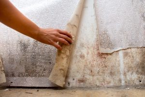 PERSON-PEELING-BACK-WALLPAPER-ON-A-VERY-DAMP-WALL-AND-CONSIDERING-HOW-THIS-MIGHT-BE-INCLUDED-ON-A-DISREPAIR-COMPENSATION-CALCULTOR