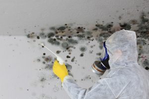 PERSON-TREATING-MOULD-WHILST-WEARING-A-RESPIRATORY-MASK-AGAINST-SERIOUS-RISK-OF-INHALATION